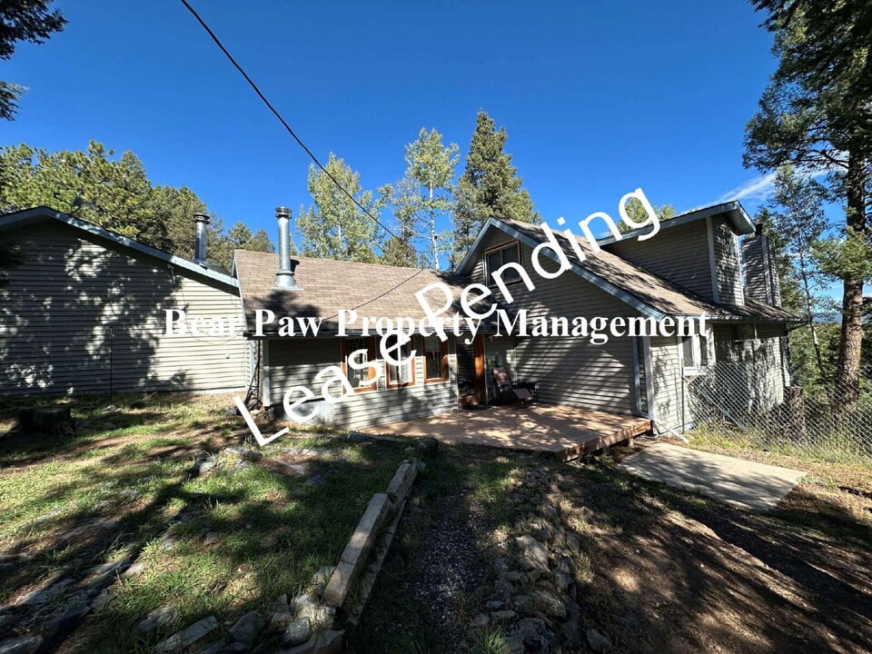 1205 Burland Dr in Bailey, CO - Building Photo