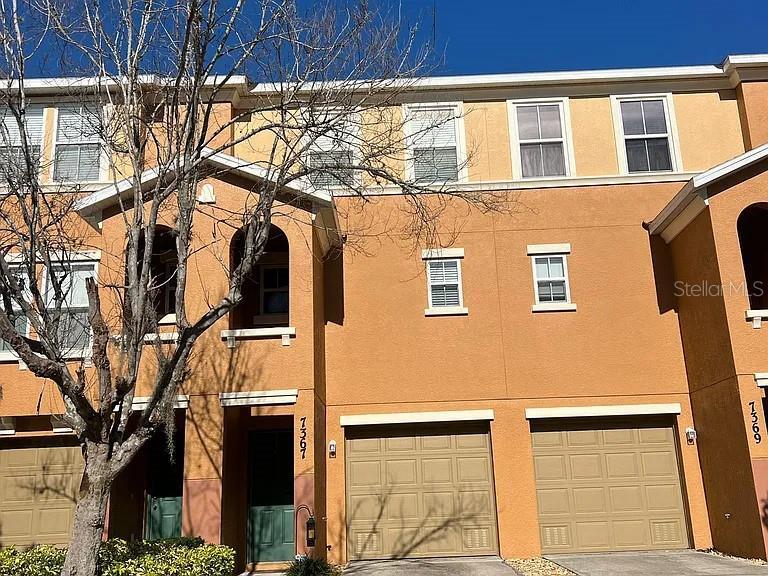7367 Black Walnut Way in Lakewood Ranch, FL - Building Photo