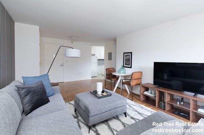 175 Freeman St in Brookline, MA - Foto de edificio - Building Photo