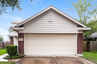 12807 Colony Heath Ln in Houston, TX - Building Photo