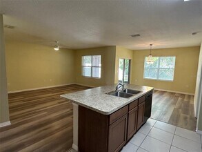 521 White Coral Ln in New Smyrna Beach, FL - Building Photo - Building Photo