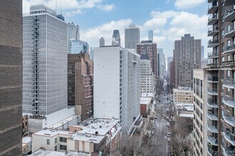 Towers Condominium in Chicago, IL - Building Photo - Building Photo