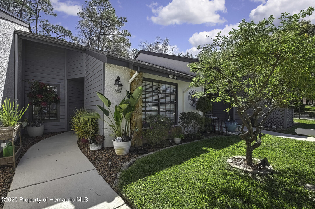 6395 Pinestand Ct in Spring Hill, FL - Building Photo