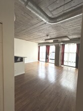 1069 W 14th Pl in Chicago, IL - Building Photo - Building Photo