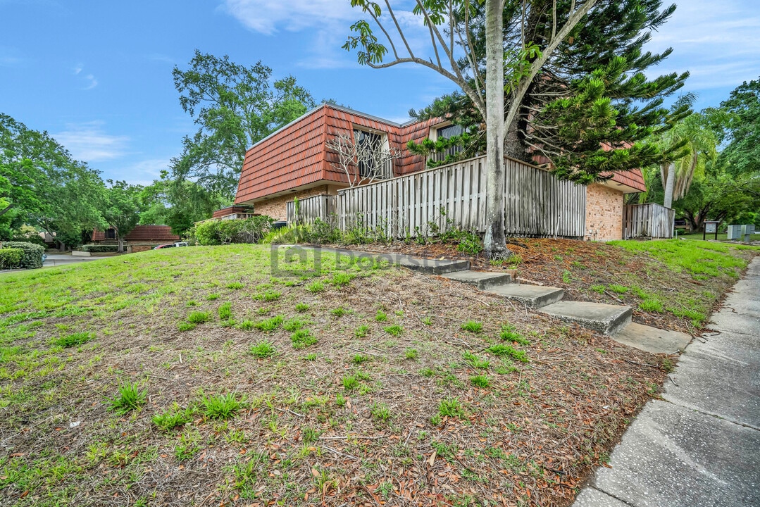 2605 10th Ct in Palm Harbor, FL - Building Photo