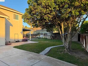 4507 Cove Ln in Discovery Bay, CA - Building Photo - Building Photo