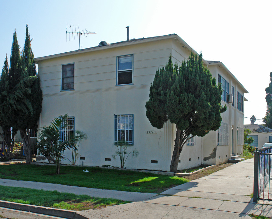 8524 Beverlywood St in Los Angeles, CA - Building Photo