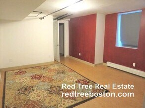 17 Putnam Ave in Cambridge, MA - Foto de edificio - Building Photo