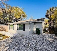 209 W Emily St in Tampa, FL - Building Photo