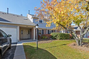 204 Dublin Ln in Schaumburg, IL - Building Photo