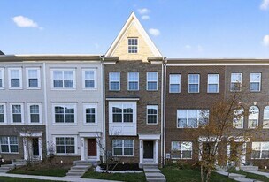 7125 Masonry Aly in Beltsville, MD - Building Photo