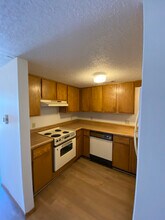 294 W Mountain St in Fayetteville, AR - Building Photo - Building Photo
