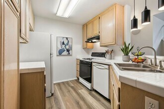 11355 Affinity Ct in San Diego, CA - Building Photo - Building Photo