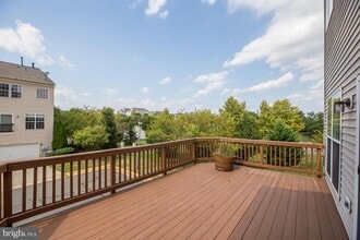 20194 Incas Terrace in Ashburn, VA - Building Photo - Building Photo