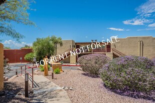 6255 N Camino Pimeria Alta in Tucson, AZ - Building Photo