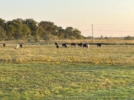 5260 SW 1140 in Corsicana, TX - Building Photo