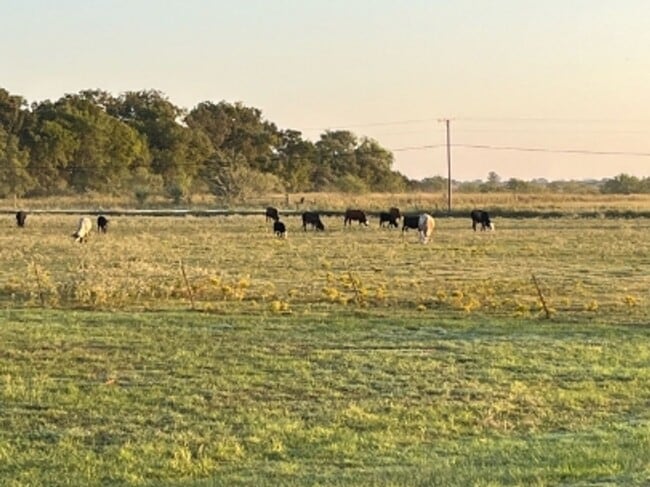 property at 5260 SW 1140