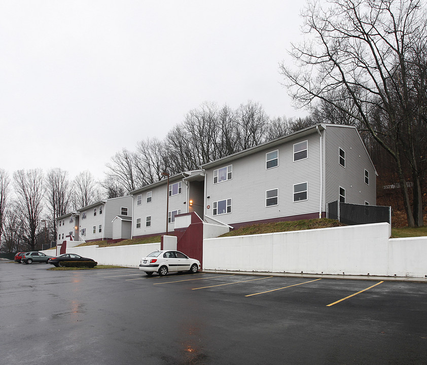 7-9 Lewis Ave in Oneonta, NY - Building Photo