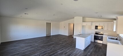 233 Moss Ranch Wy in Patterson, CA - Building Photo - Building Photo