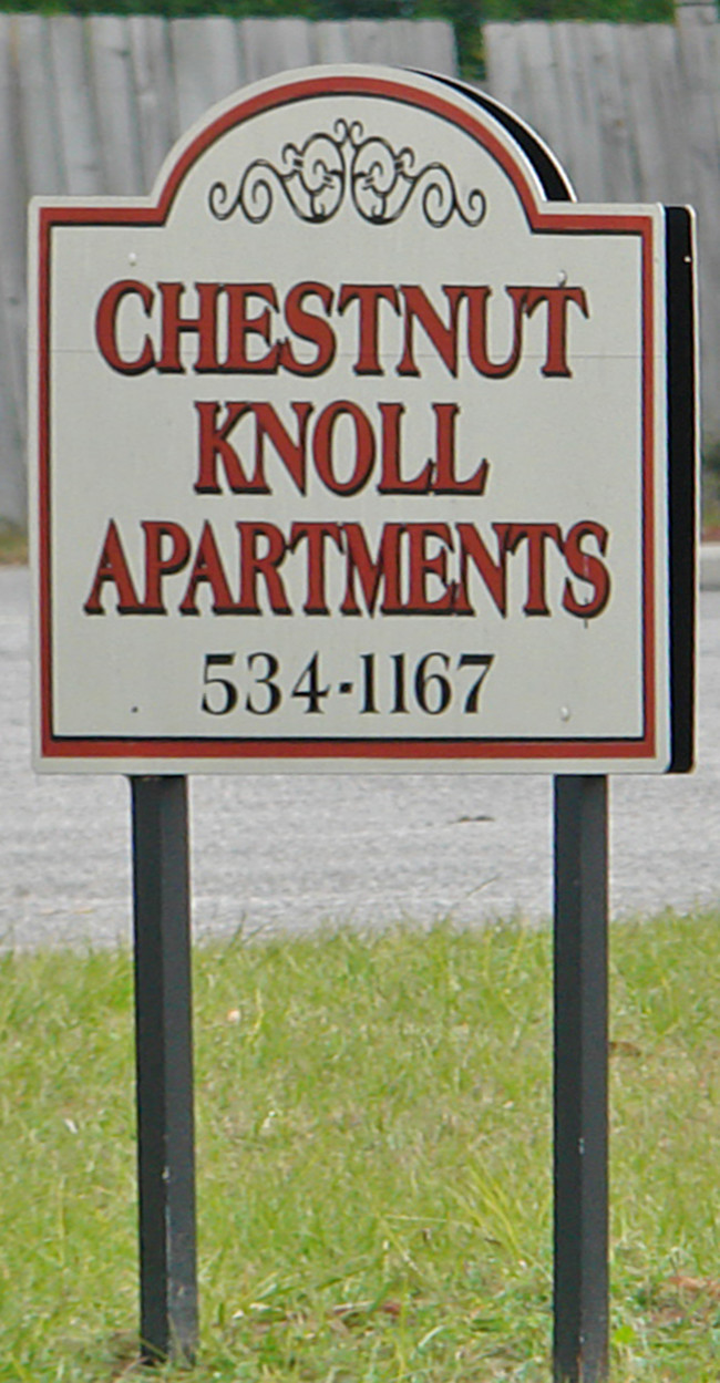 Chestnut Knoll Apartments in Orangeburg, SC - Building Photo - Building Photo