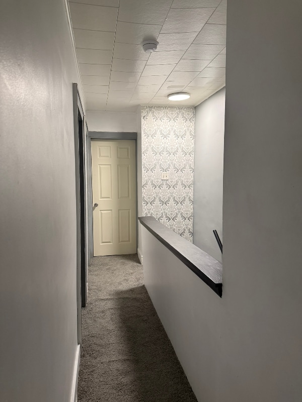 property at 17 Montier St