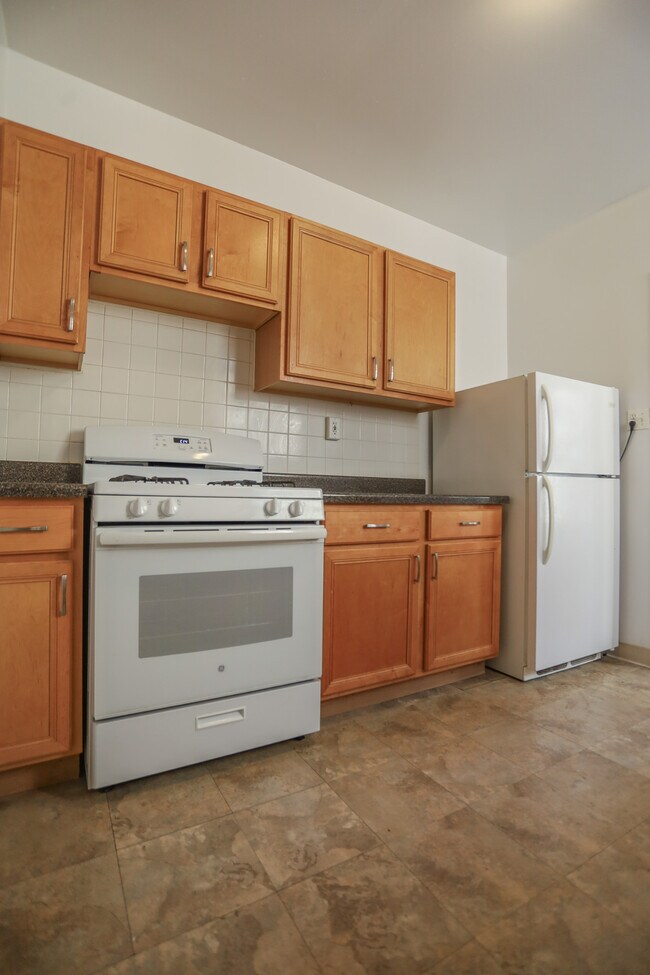 1624 W Lunt Ave, Unit #3A in Chicago, IL - Building Photo - Building Photo