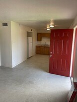 411 Tennessee St in Houston, TX - Building Photo