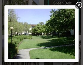 39843 Cedar Blvd, Unit 118 in Newark, CA - Building Photo - Building Photo