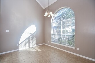 16414 Pademelon Dr in Sugar Land, TX - Building Photo - Building Photo