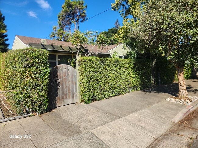 property at 823 Orchard St