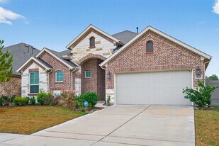 18338 Tiger Flowers Dr in Conroe, TX - Building Photo