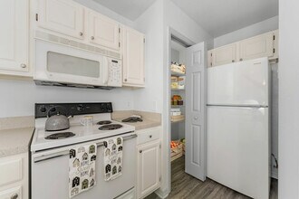 Museum Walk in Gainesville, FL - Building Photo - Building Photo