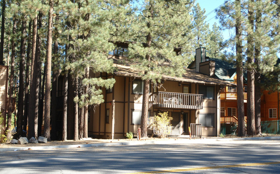 733 Summit Blvd in Big Bear Lake, CA - Foto de edificio