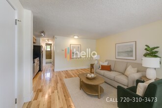 253 N Grant St in Denver, CO - Building Photo - Building Photo