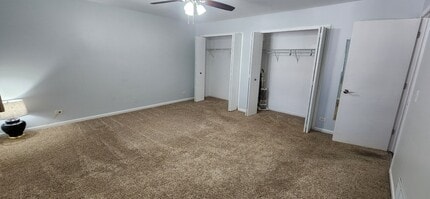 391 S Collins St in South Elgin, IL - Building Photo - Building Photo