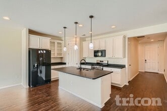 4363 E 96th Way in Thornton, CO - Building Photo - Building Photo