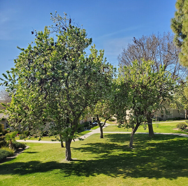 Brandywine Apartments in Delano, CA - Building Photo - Building Photo