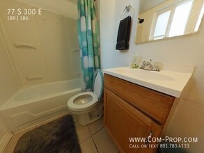 77 E 300 S in Pleasant Grove, UT - Building Photo - Building Photo