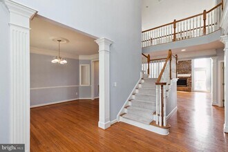 12547 Cerromar Pl in Fairfax, VA - Building Photo - Building Photo