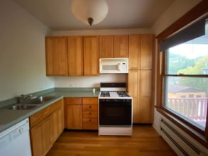 607 N Humphrey Ave, Unit 2 in Oak Park, IL - Building Photo - Building Photo