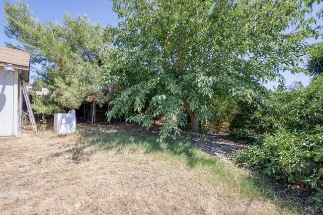 3518 E Clay Ave in Fresno, CA - Building Photo - Building Photo