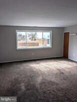 8034 Craig St in Philadelphia, PA - Building Photo