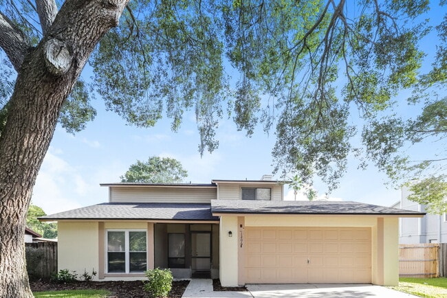 property at 1206 Letona Ln