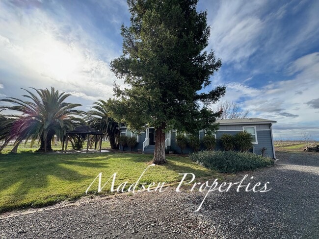 15451 Cana Pine Creek Rd in Chico, CA - Building Photo - Building Photo