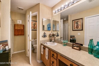 1841 Lago Del Sur Drive in Middleburg, FL - Building Photo - Building Photo