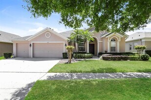 1007 Sweet Breeze Dr in Valrico, FL - Building Photo