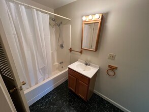 115 Main St, Unit 3 in Moravia, NY - Building Photo - Building Photo