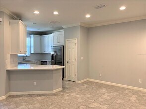 1073 Amber Leaf Trl in Wesley Chapel, FL - Building Photo - Building Photo