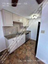 735 Miller Ct in Denver, CO - Building Photo