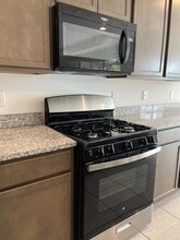 19736 Lonesome Pine Dr in Land O Lakes, FL - Building Photo - Building Photo